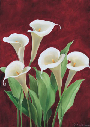 Picture of CALLA ON BURGUNDY II