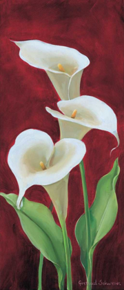 Picture of CALLA ON BURGUNDY III