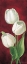 Picture of TULIPS ON BURDUNDY I