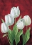 Picture of TULIPS ON BURDUNDY II