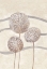 Picture of PURE BALANCE II