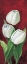 Picture of TULIPS ON BURDUNDY III