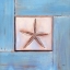 Picture of SERENDIPITY