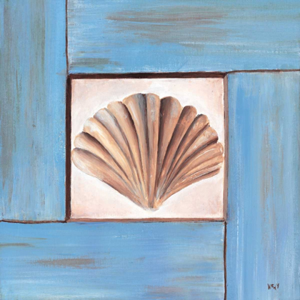 Picture of SEASHELL