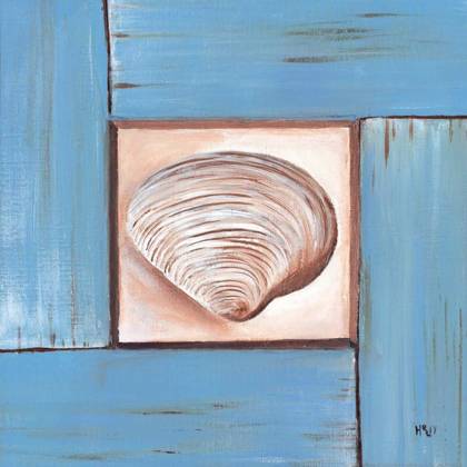 Picture of SCALLOP SHELL