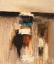 Picture of COMPOSITION IN BEIGE