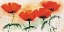 Picture of POPPIES ON RICEPAPER II