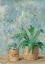 Picture of GREEN PLANTS II