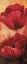 Picture of POPPIES I