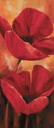 Picture of POPPIES II