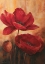 Picture of POPPIES III