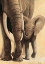 Picture of ELEPHANT LOVE I