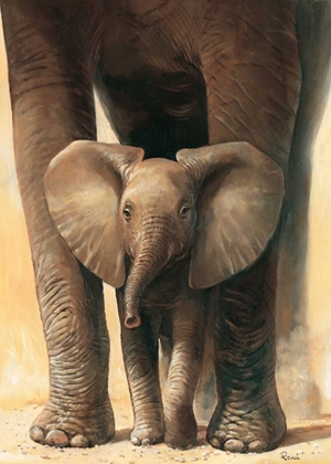 Picture of ELEPHANT LOVE II