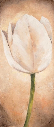 Picture of TULIP ON BEIGE I