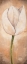 Picture of TULIP ON BEIGE III