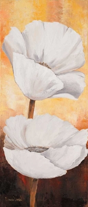 Picture of WHITE FLOWERS I