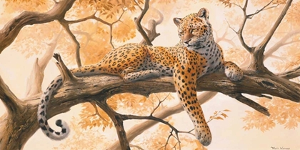 Picture of LAYING TIGER