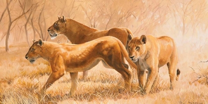 Picture of PRIDE ANIMALS