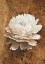 Picture of SINGLE FLOWER II