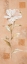 Picture of DREAM IN CREAM I