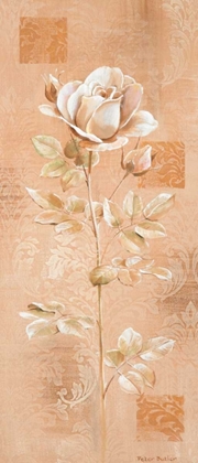 Picture of DREAM IN CREAM II