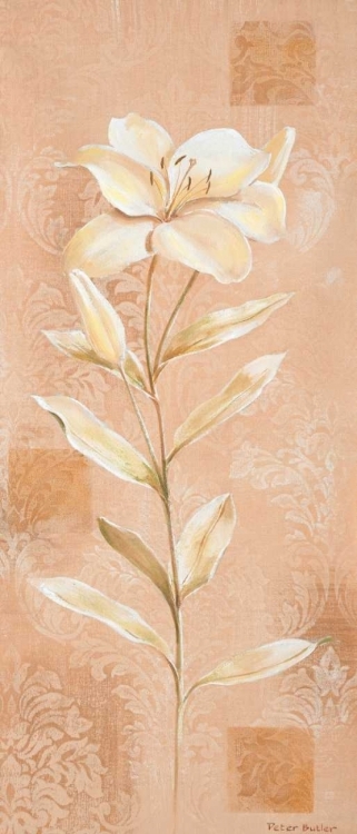 Picture of DREAM IN CREAM III