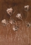 Picture of MOODY BROWNS I