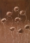 Picture of MOODY BROWNS II