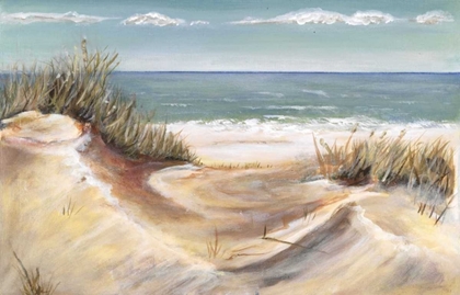 Picture of DUNES I