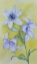 Picture of FLORAL 