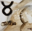 Picture of TAURUS