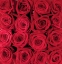 Picture of RED ROSE CREATION