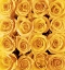 Picture of YELLOW ROSE CREATION