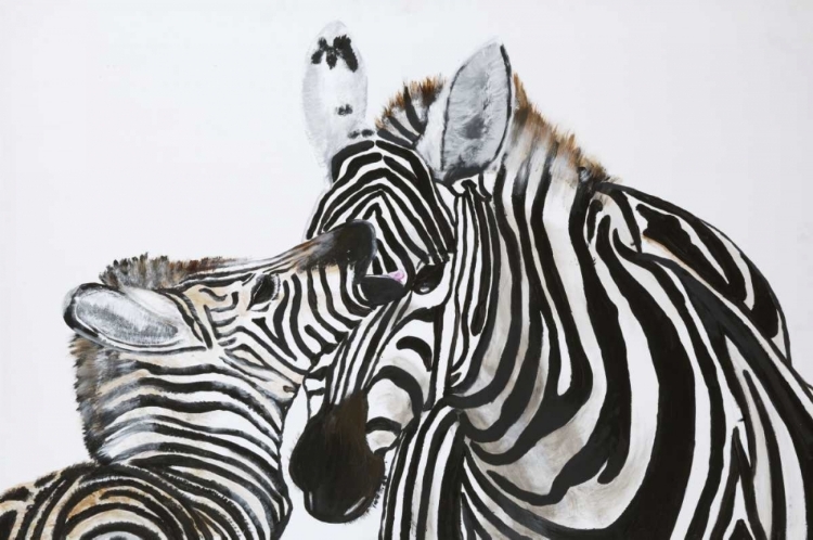 Picture of ZEBRA