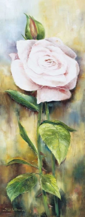 Picture of THE ROSE II