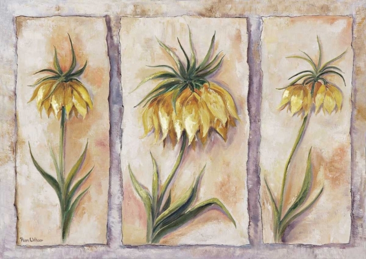 Picture of FRITILLARIA IMPERIALIS