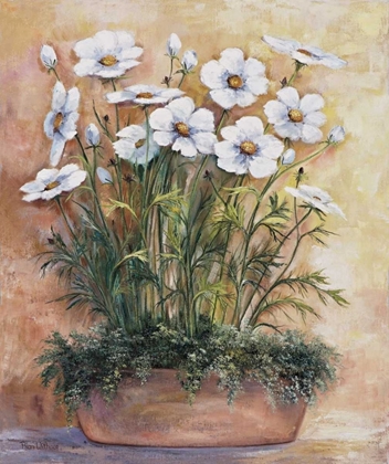 Picture of WHITE ANEMONES IN BOWL