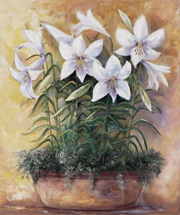 Picture of WHITE LILIES IN BOWL