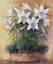 Picture of WHITE LILIES IN BOWL