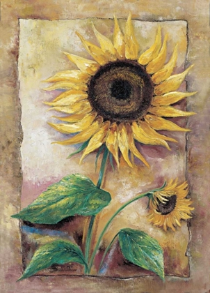 Picture of BEAUTIFUL SUNFLOWER