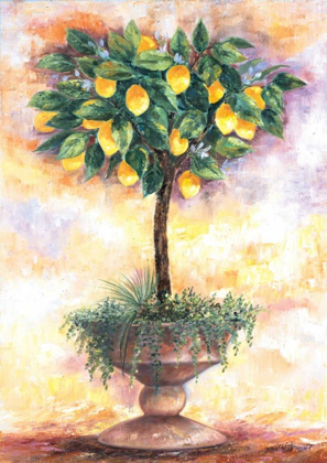 Picture of LEMON TREE