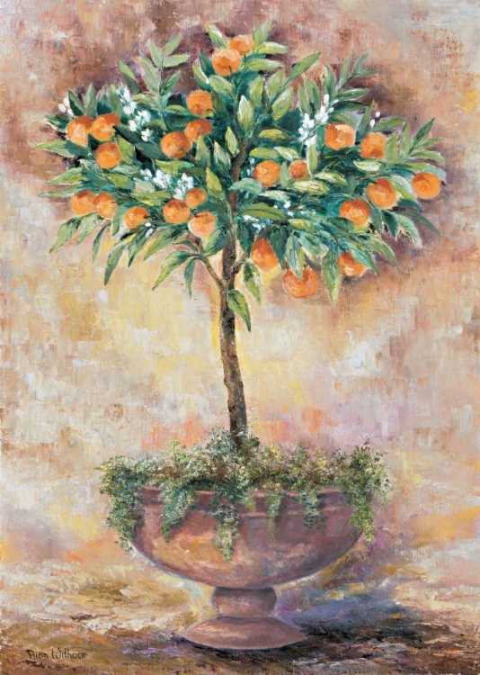 Picture of ORANGE TREE