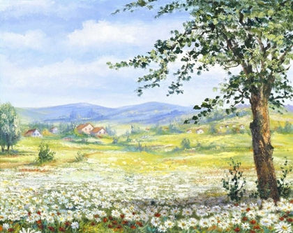 Picture of MARGUERITES FIELD