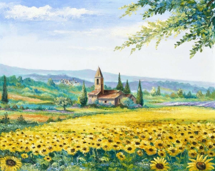 Picture of SUNFLOWER FIELD