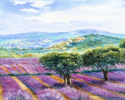 Picture of LAVENDER FIELD