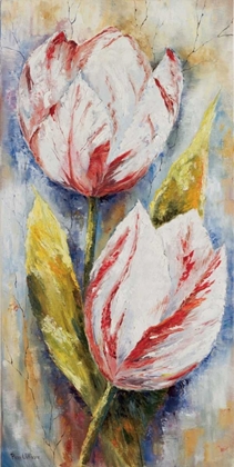 Picture of WHITE TULIPS
