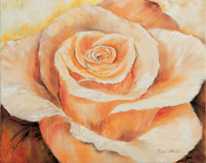 Picture of ROSE IN DETAIL