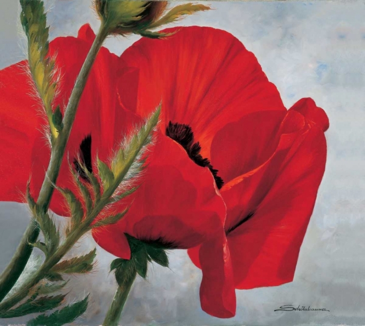 Picture of THE RED POPPY