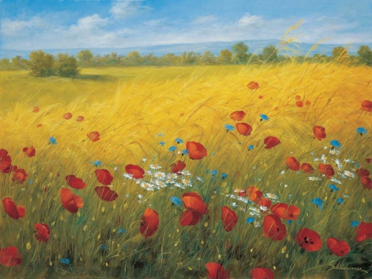 Picture of SPARKLING FIELD I
