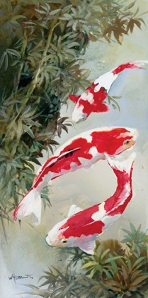 Picture of KOI 1
